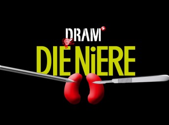 Die Niere