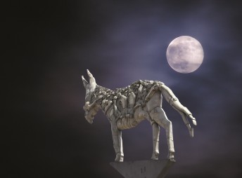 StadtVerführung im Dunkel der Nacht 