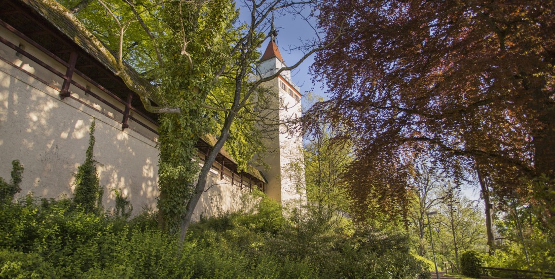 Hoch Hinaus - die Gigelturm-Führung
