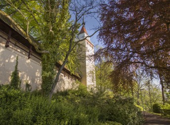 Hoch Hinaus - die Gigelturm-Führung