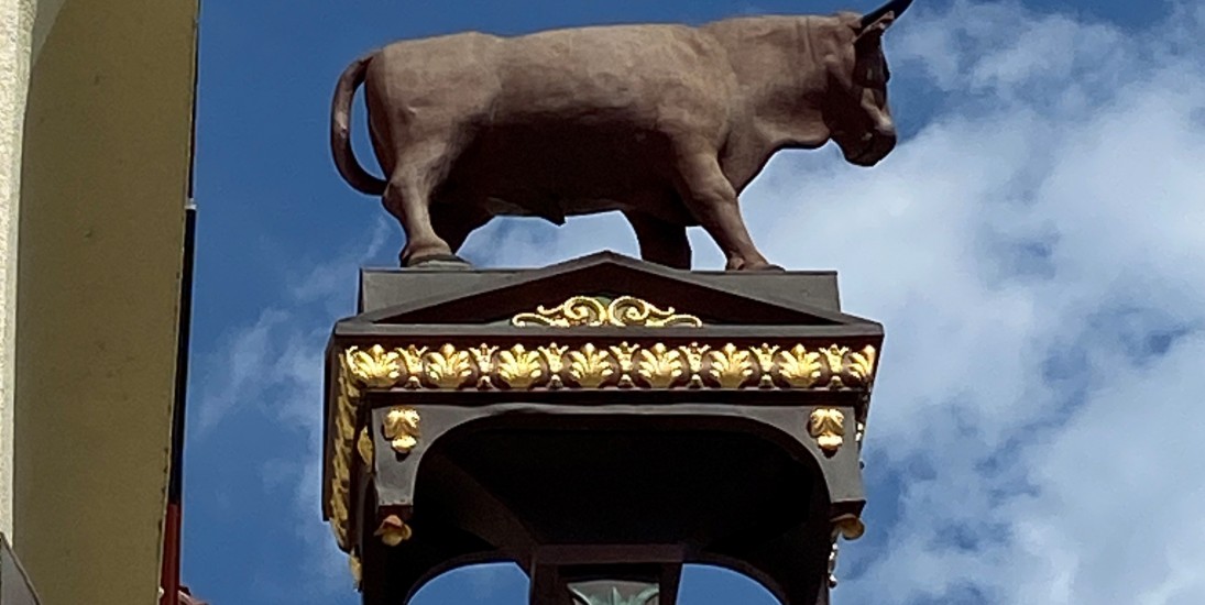 Biberacher Stadtsafari