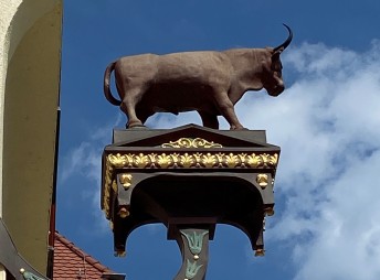 Biberacher Stadtsafari