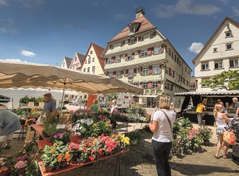Platz gemacht! Wo gibt es Märkte und Plätze?
