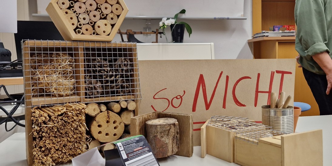 Wie kann ich den Wildbienen helfen