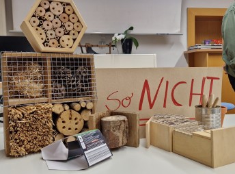 Wie kann ich den Wildbienen helfen